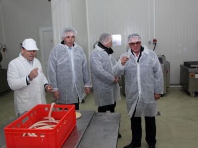 Čiča Mata ponovno proizvodi