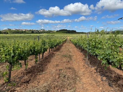 EIP-Agri konferencija, Estoril, Portugal EIP-Agri konferencija, Estoril, Portugal