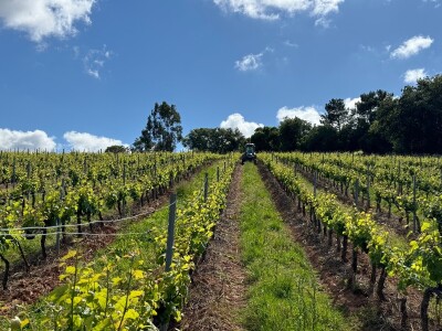 EIP-Agri konferencija, Estoril, Portugal EIP-Agri konferencija, Estoril, Portugal