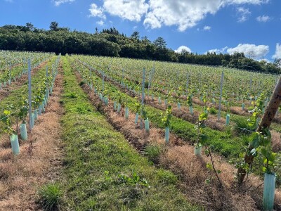 EIP-Agri konferencija, Estoril, Portugal EIP-Agri konferencija, Estoril, Portugal