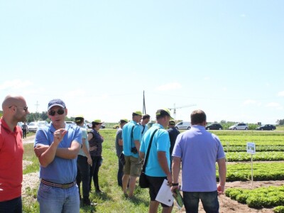 Dan salate: Bonaly će preživjeti i najtoplije ljeto