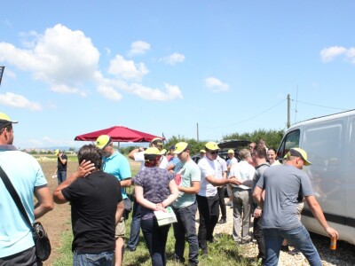 Dan salate: Bonaly će preživjeti i najtoplije ljeto