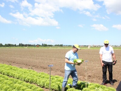 Dan salate: Bonaly će preživjeti i najtoplije ljeto