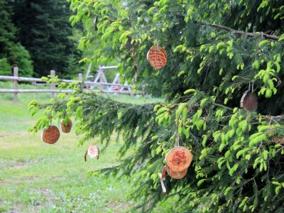 Šumska bajka OPG-a Denis Juričić