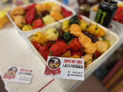 Jubilarni 50. Sajam šljive u Gradačcu