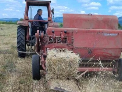 Kvalitet sena - prvi otkos lucerke i travnih smeša