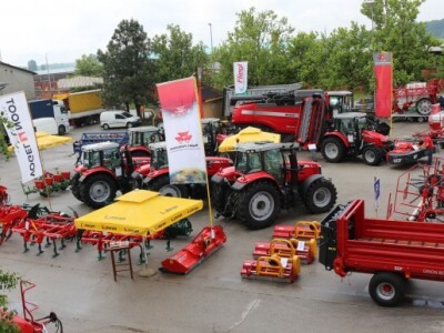 Lateran Dan otvorenih vrata