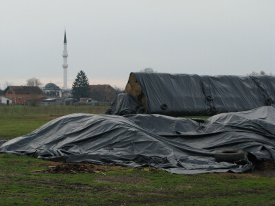 Nedostatak stocne hrane