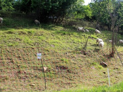 Zaštita od velikih zvijeri
