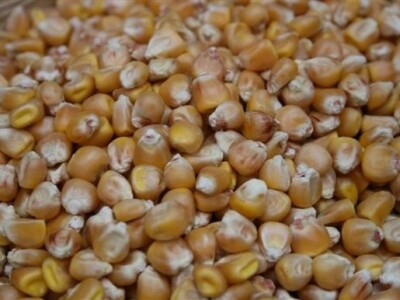 16. Osječki proljetni sajam