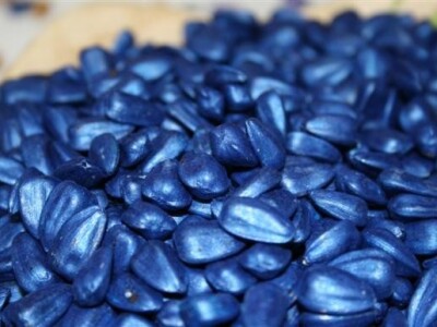 16. Osječki proljetni sajam