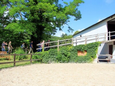 Zaštita od velikih zvijeri