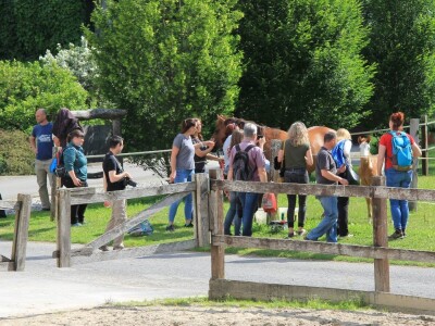 Zaštita od velikih zvijeri