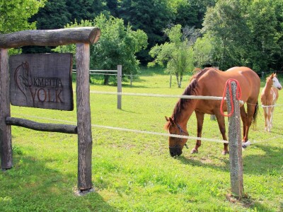 Zaštita od velikih zvijeri