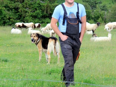 Zaštita od velikih zvijeri