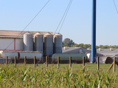 Eutanazija svinja farma Sokolovac