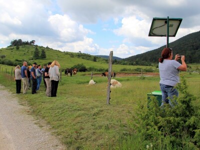 Zaštita od velikih zvijeri