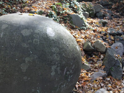 Magaraca ima puno više u Bosni, nego u Hercegovini