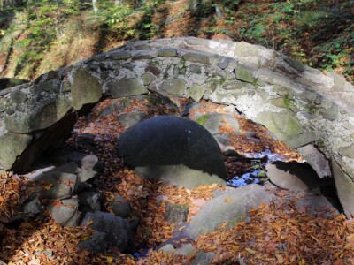 Magaraca ima puno više u Bosni, nego u Hercegovini