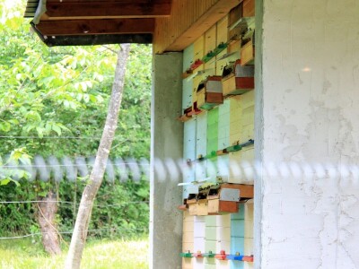 Zaštita od velikih zvijeri