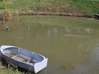 Magaraca ima puno više u Bosni, nego u Hercegovini