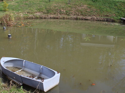 Magaraca ima puno više u Bosni, nego u Hercegovini