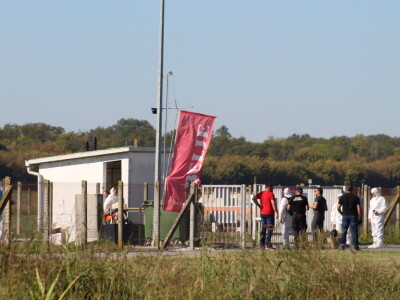 Eutanazija svinja farma Sokolovac