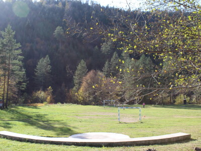 Magaraca ima puno više u Bosni, nego u Hercegovini