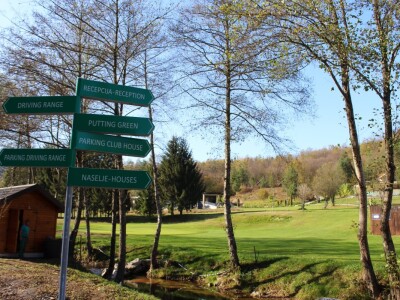 Magaraca ima puno više u Bosni, nego u Hercegovini