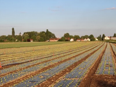 Navodnjavanje s Akplas sustavom