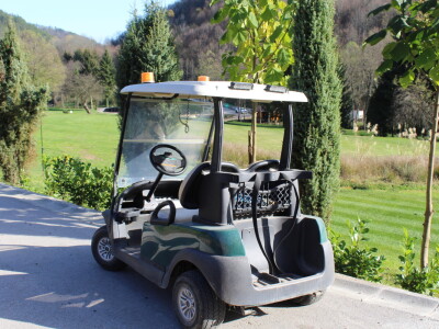 Magaraca ima puno više u Bosni, nego u Hercegovini