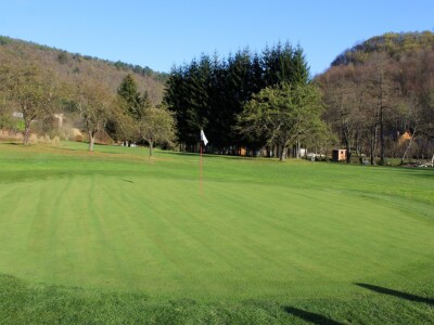 Magaraca ima puno više u Bosni, nego u Hercegovini