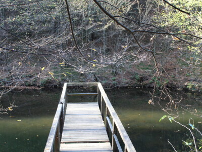 Magaraca ima puno više u Bosni, nego u Hercegovini