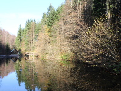 Magaraca ima puno više u Bosni, nego u Hercegovini