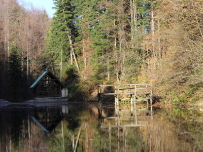 Magaraca ima puno više u Bosni, nego u Hercegovini