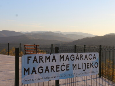 Magaraca ima puno više u Bosni, nego u Hercegovini