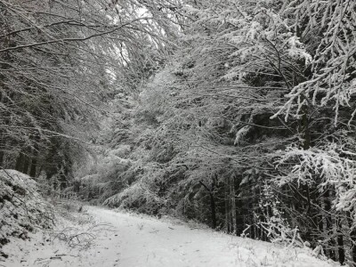 PP i NP za vrijeme zime