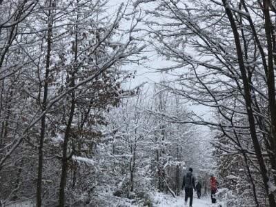 PP i NP za vrijeme zime