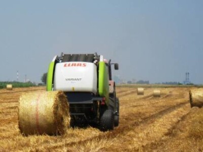 Agron u žetvi Agron u žetvi