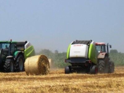 Agron u žetvi Agron u žetvi