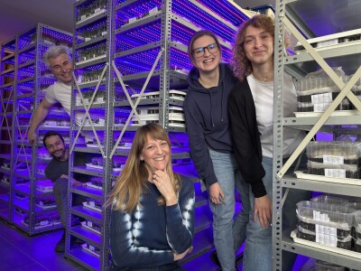 Mala tvornica mikropovrća u oblacima Mala tvornica mikropovrća u oblacima