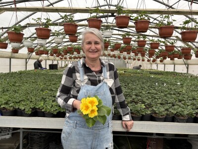 Nestaju li balkoni puni cvijeća? Nestaju li balkoni puni cvijeća?