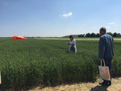 Centralni dan KWS sorti i hibrida pšenice, ječma, raži i uljane repice