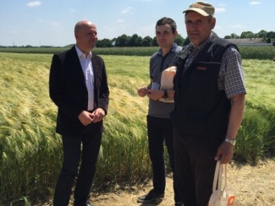 Centralni dan KWS sorti i hibrida pšenice, ječma, raži i uljane repice