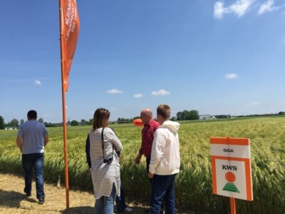 Centralni dan KWS sorti i hibrida pšenice, ječma, raži i uljane repice