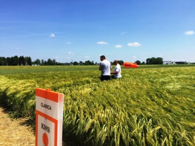 Predstavljena sorta ječma Clarica