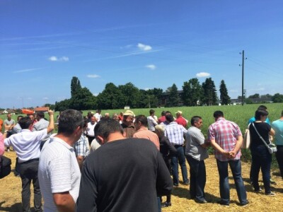 Centralni dan KWS sorti i hibrida pšenice, ječma, raži i uljane repice