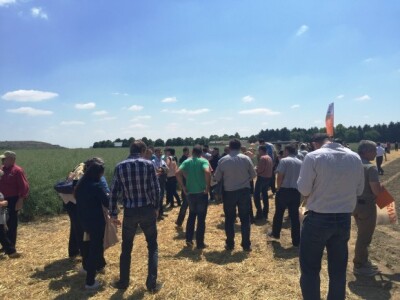 Centralni dan KWS sorti i hibrida pšenice, ječma, raži i uljane repice