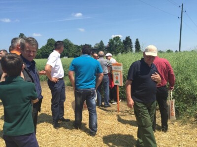 Centralni dan KWS sorti i hibrida pšenice, ječma, raži i uljane repice