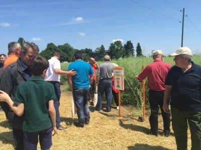 Centralni dan KWS sorti i hibrida pšenice, ječma, raži i uljane repice